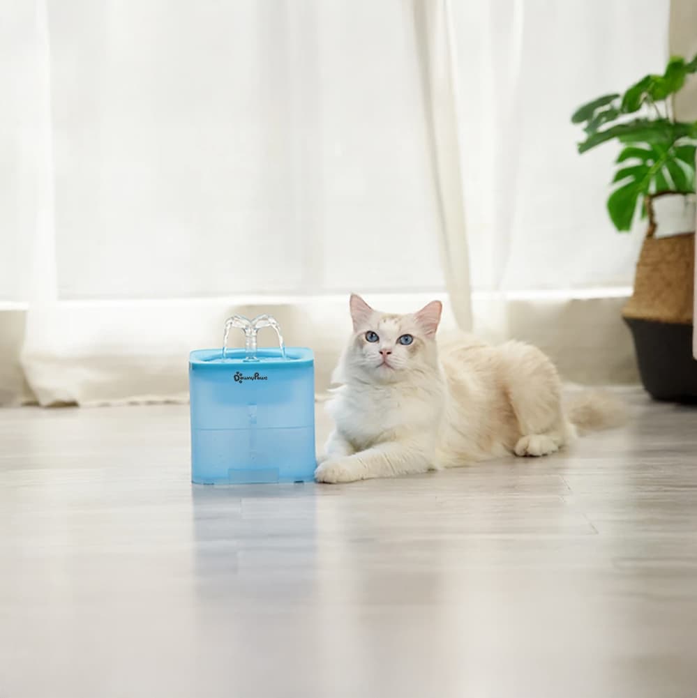 Filtrująca fontanna 2L dla pupila – DownyPaws