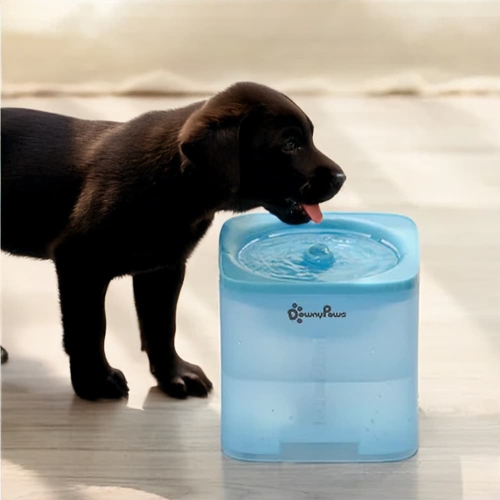 Filtrująca fontanna 2L dla pupila – DownyPaws