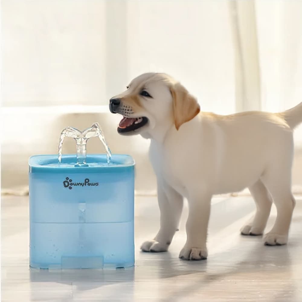 Filtrująca fontanna 2L dla pupila – DownyPaws