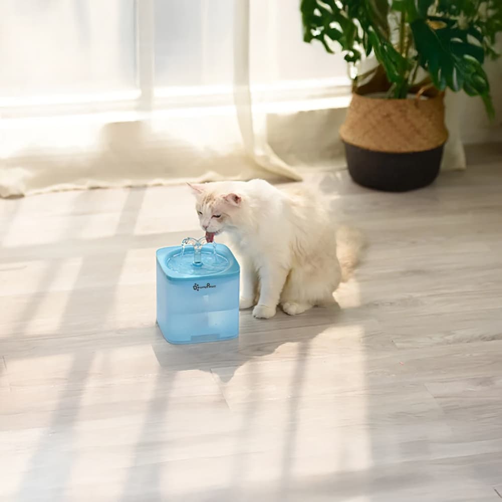 Filtrująca fontanna 2L dla pupila – DownyPaws